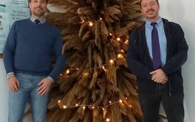 Ένα μοναδικό, εναλλακτικό, οικολογικό Χριστουγεννιάτικο Δέντρο από τους σπουδαστές του 7ου εξαμήνου, Τμήμα Διοίκησης Επιχειρήσεων και Τουρισμού του ΕΛΜΕΠΑ