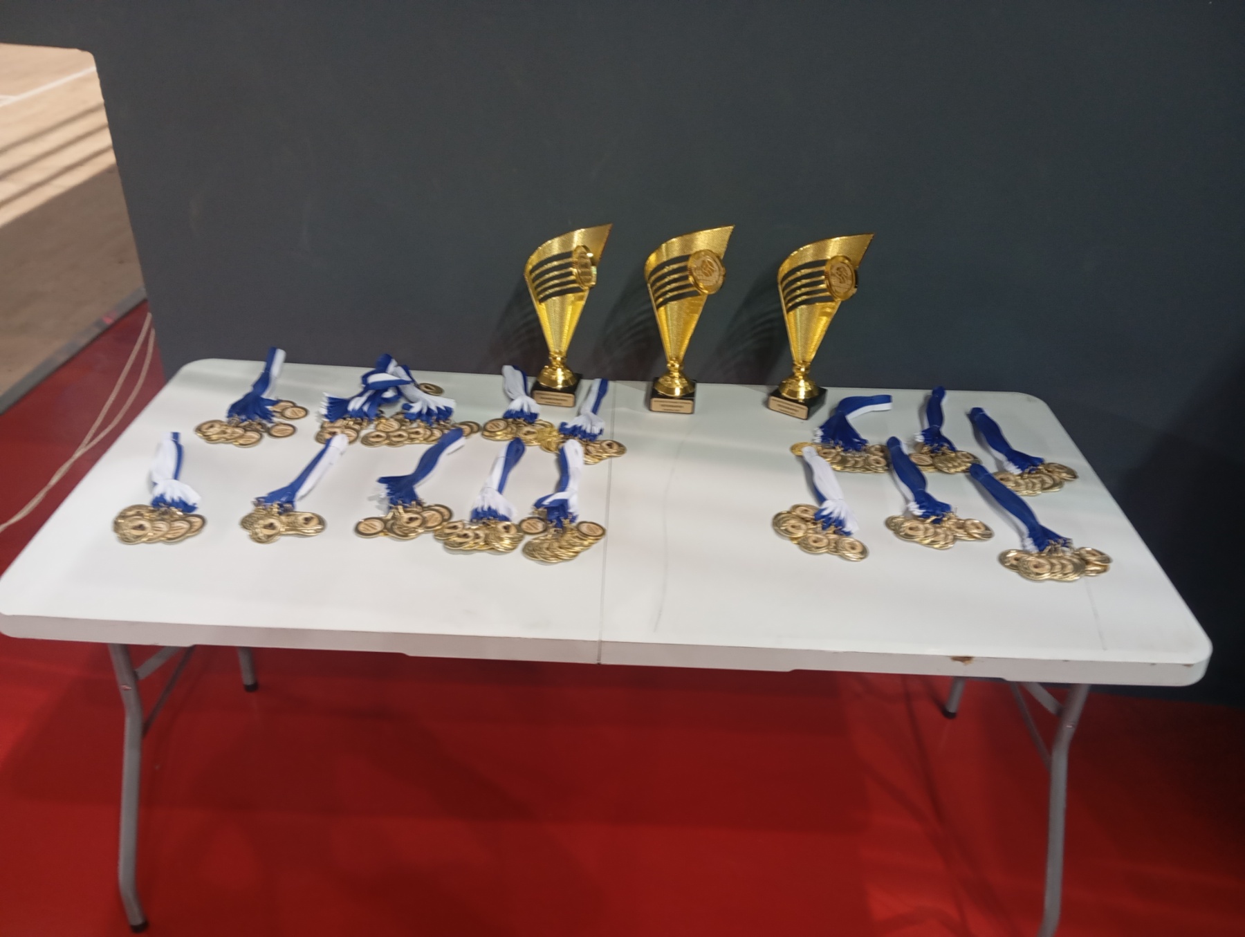 elmepa-baske-volei (6)